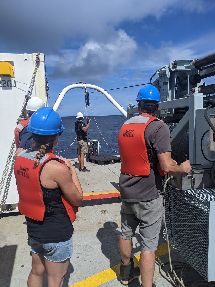 PLUME RAIDERS (RR2106) tweet media