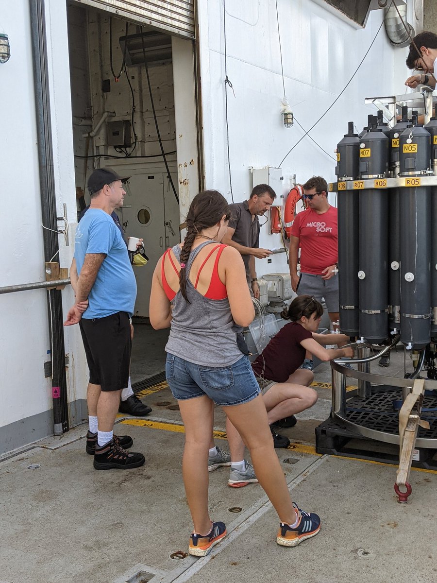 PLUME RAIDERS (RR2106) tweet media