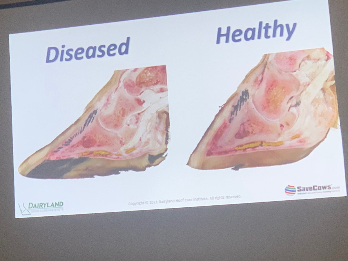 Day 2 done 💪 🔪