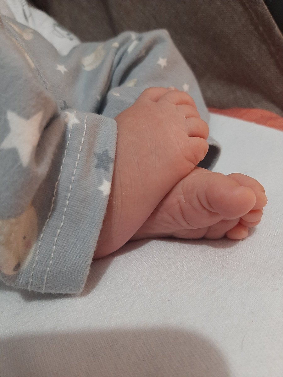 02_CamiGonzalez's tweet photo. Estoy enamorada de cada pedacito de mi hija😍❤ https://t.co/ybhzH8JW1x