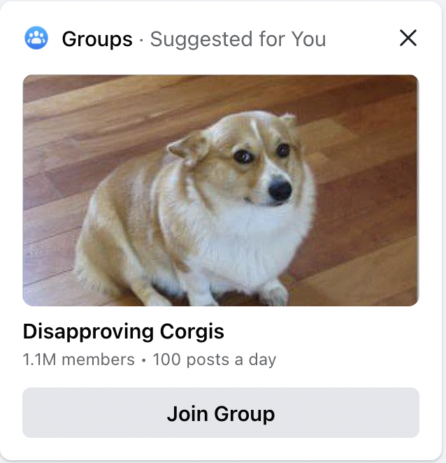 paulanders's tweet image. Facebook knew I was procrastinating. I feel a bit too seen.