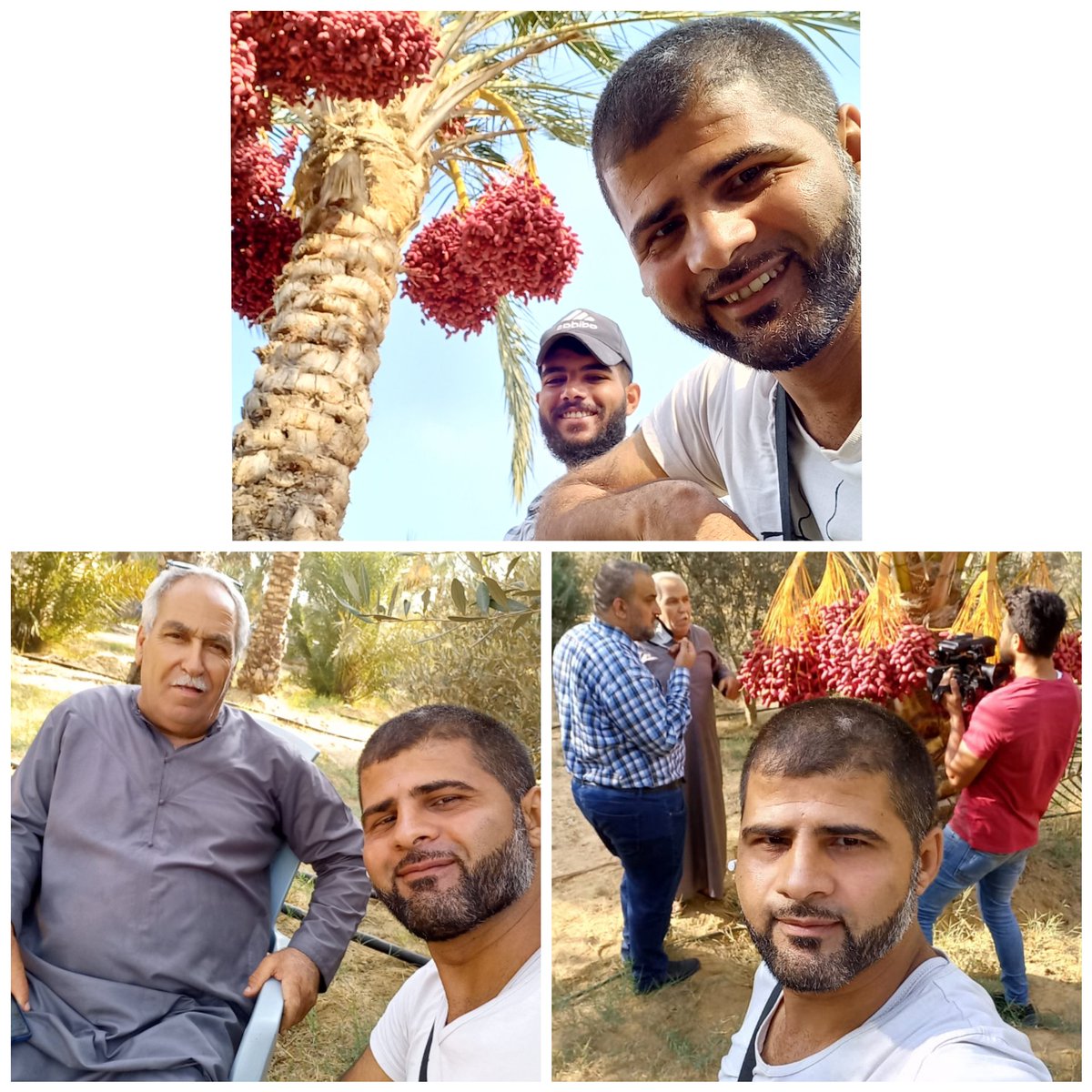 CbColonelbasel's tweet image. يوم جميل في دير البلح مع محصول البلح 😉