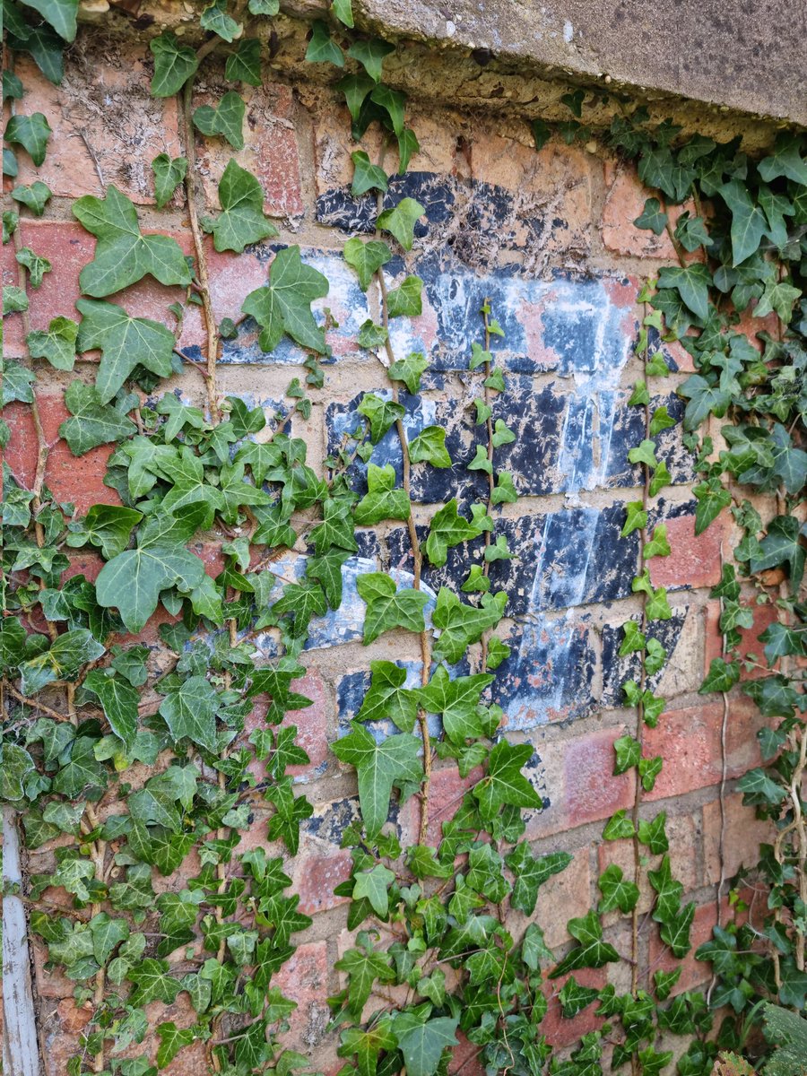 Seen this hidden gem before? 
.
#hiddentreasures #heritagelocation #smartworking #regeneration #unique #picoftheday #ivy #historiclocation #historyinpictures #creativespace #viewoftheday #northampton #daventry #wellness #rustic #royalordanancedepot