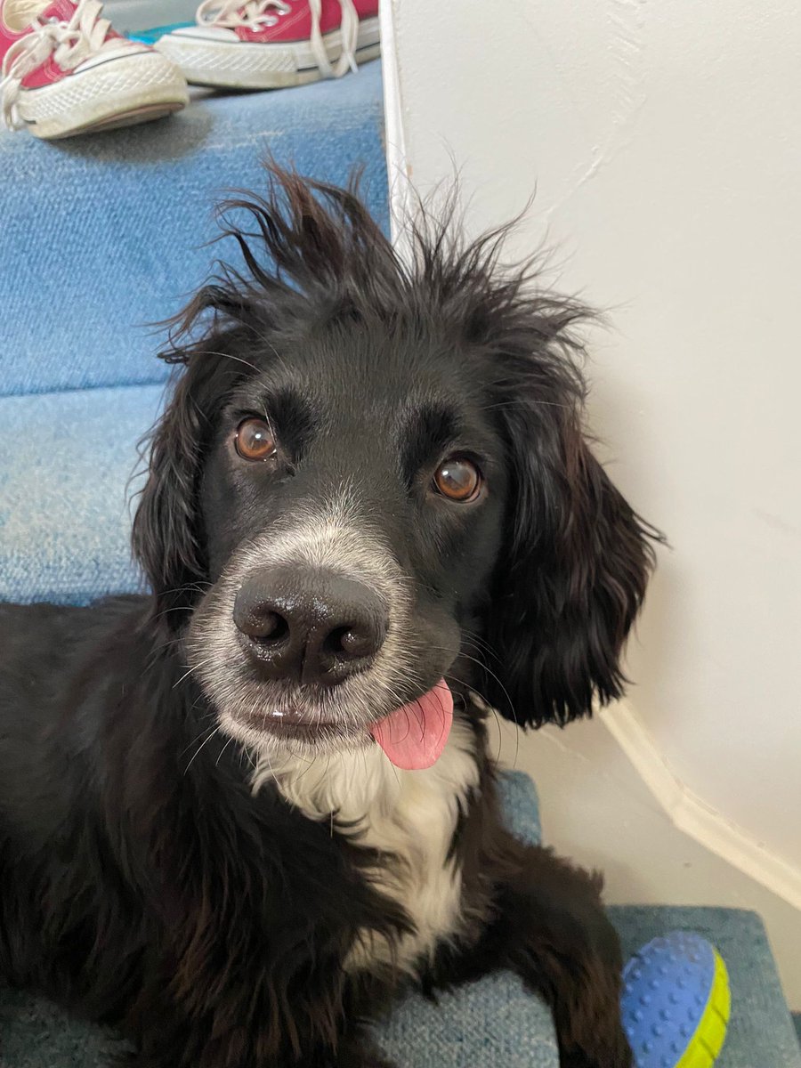 Mr B Reads tweet media