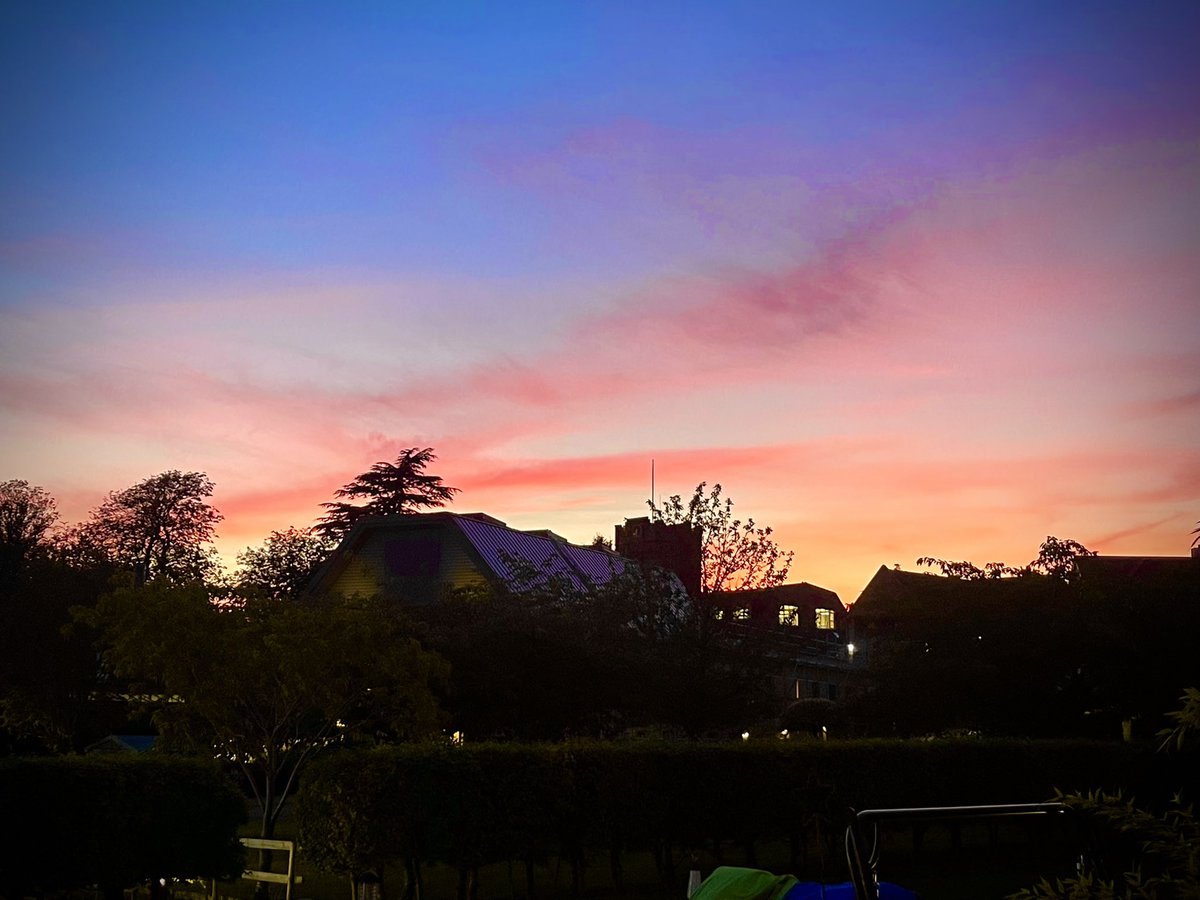 Sherborne Girls Reader Harris tweet media