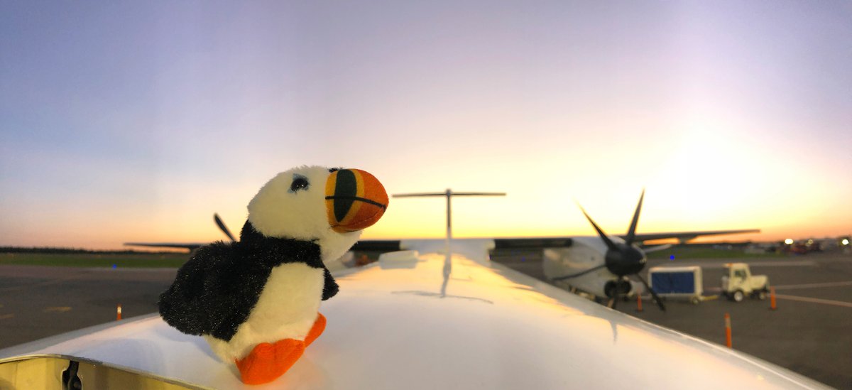 PALairlines's tweet photo. Yesterday, Pally left St. John’s for a business trip to Deer Lake, then on to Fredericton to check out the taproom trail.
With PAL Airlines' new flights connecting St. John’s and Deer Lake to Moncton, Fredericton, and Ottawa, as well as connecting Deer Lake to Halifax and beyond! https://t.co/KJPSdJGR5f
