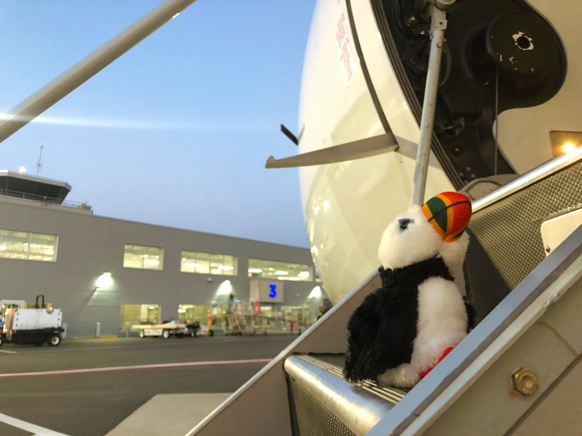 Yesterday, Pally left St. John’s for a business trip to Deer Lake, then on to Fredericton to check out the taproom trail.
With PAL Airlines' new flights connecting St. John’s and Deer Lake to Moncton, Fredericton, and Ottawa, as well as connecting Deer Lake to Halifax and beyond!