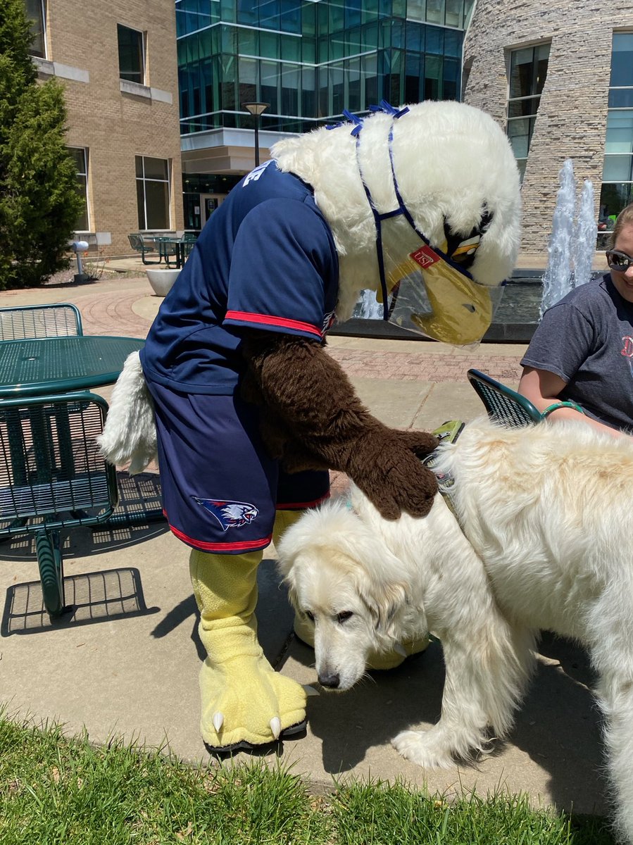 archibaldeagle's tweet photo. Here you go. @957thespin :) https://t.co/g9m0fjfWoB