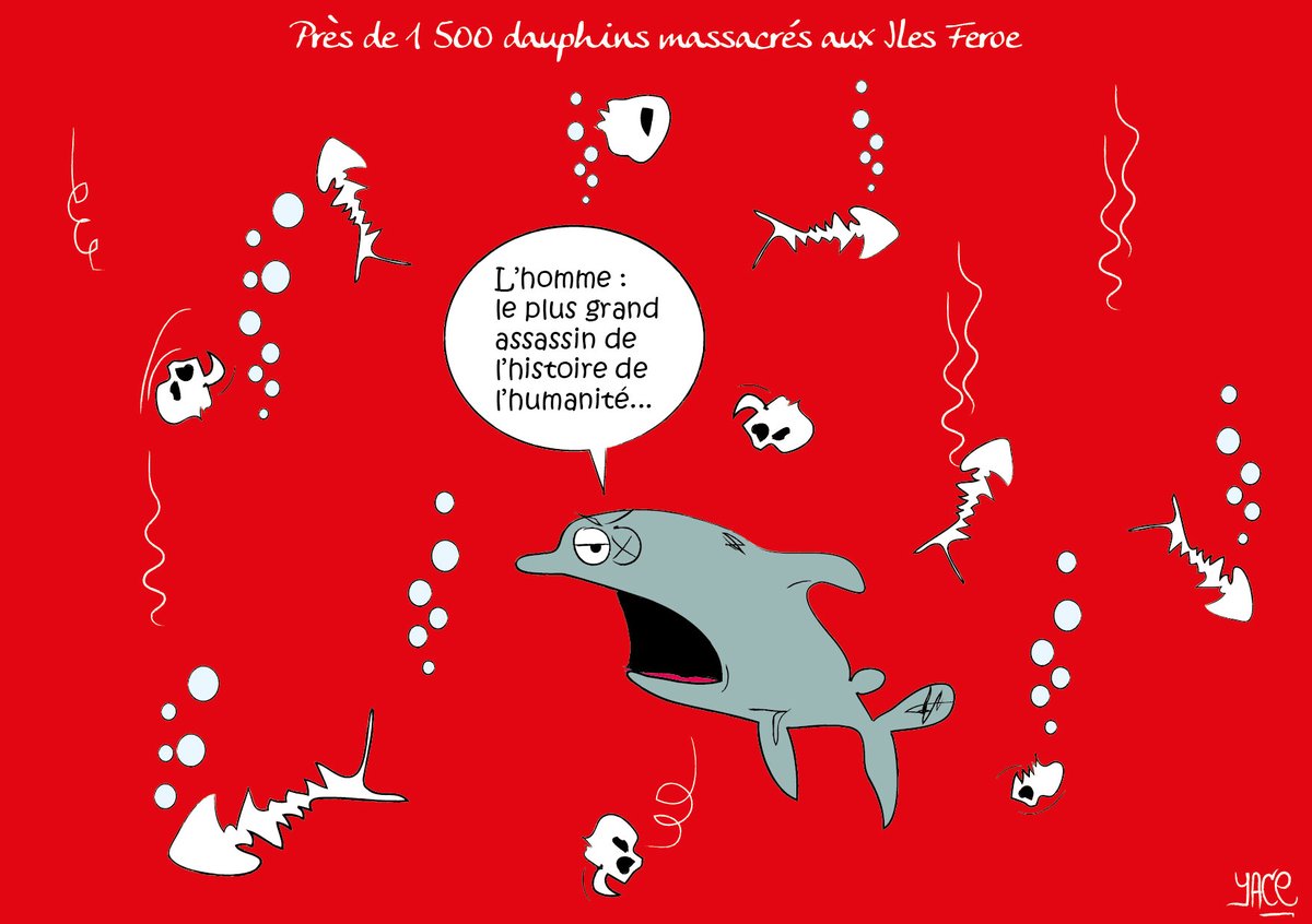 iamyace's tweet image. 1500 dauphins massacrés aux Iles Féroé
#yAce #dessin #Dolphins