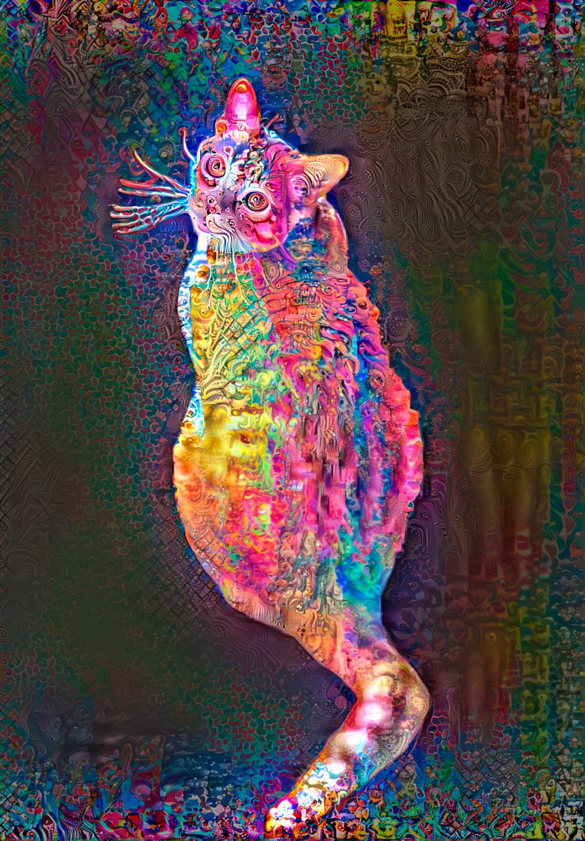 PsyCatNFT's tweet photo. Can i have your opinion on the new 3 Psy Cats ? 

Tell me your taughts ! lets go https://t.co/GRUCjATeb8
