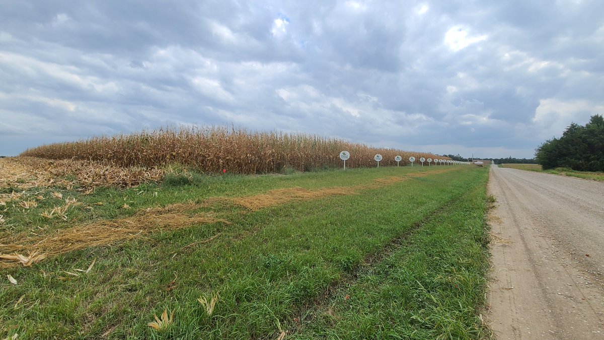 Adam Eickhoff (@eickhoff_ag_llc) on Twitter photo Harvested our <a href="/ChannelSeed/">Channel Seed</a> corn test plot. The 119 day took the 🏆 with a final yield of 259.0! The two new numbers, 217-01VT2PRIB went 256.4 and 214-78 weighed up at 255.4 bpa. Looks like it will be a fun harvest in SE NE! Harvested our <a href="/ChannelSeed/">Channel Seed</a> corn test plot. The 119 day took the 🏆 with a final yield of 259.0! The two new numbers, 217-01VT2PRIB went 256.4 and 214-78 weighed up at 255.4 bpa. Looks like it will be a fun harvest in SE NE!