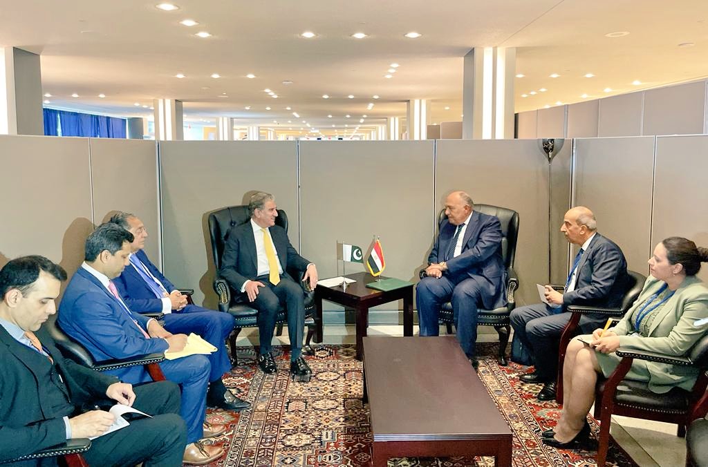 Pleased to meet Egyptian FM #SamehShoukry on the sidelines of #UNGA to discuss our bilateral bonds and international cooperation. Egypt is an important country in the region and look forward to continuing to engage across all political, economic and social fronts. 🇵🇰 🇪🇬