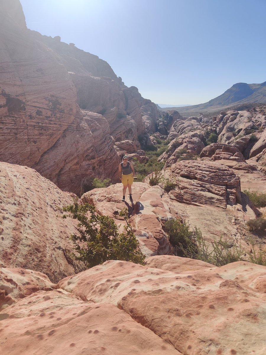 Lady Queso (art shop/business prints) 💜 tweet media