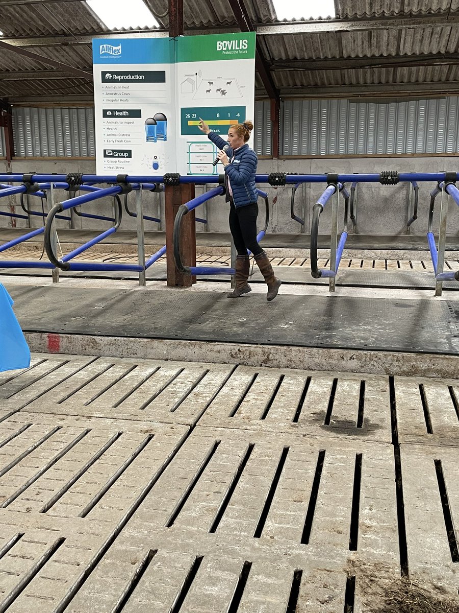 SenseHubIrl's tweet photo. A great farm walk in Co. Kerry today with another happy #SenseHub user 

Great to have @MunsterBovine to speak on milk recording and @MullinahoneCoop on EID

Thanks to John Barry and family for hosting #agtech https://t.co/Eytv0uB8qX
