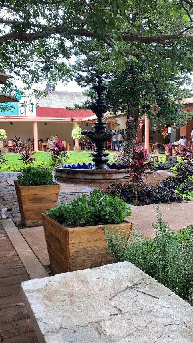 ixtlancito's tweet photo. @YoSoyDeNayarit @LuisAlb62114384 @enTepic @CazuelitasChula Restaurante La Veracruz Camprestre Ixtlán del rio visitalo y no te arrepentiras #AMOLACOMIDA https://t.co/URgnrv6jVJ