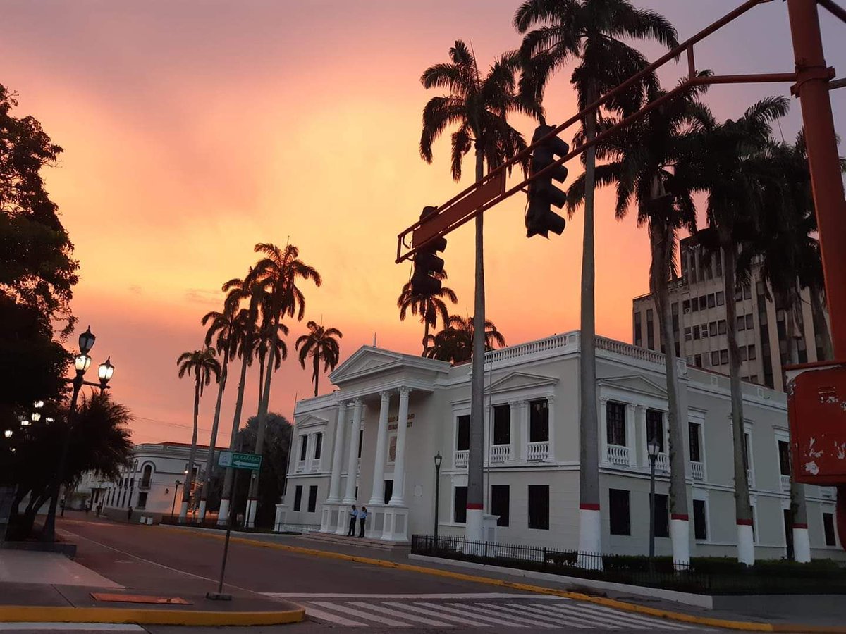 Coryatur tweet media