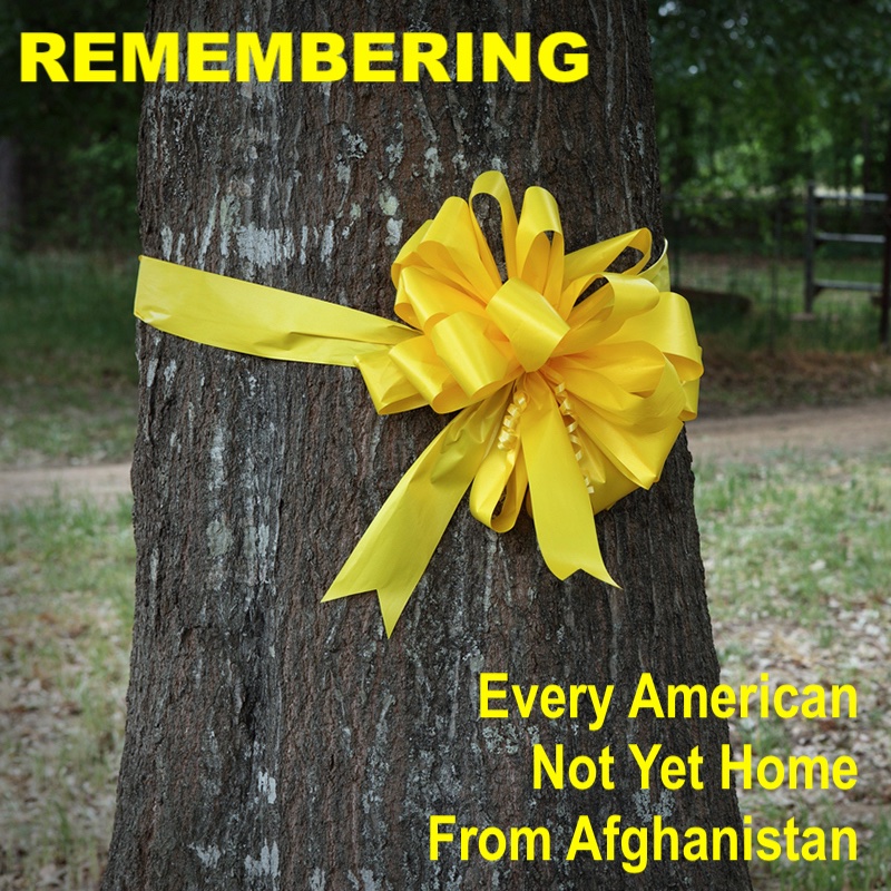 KimWier's tweet photo. @newsmax #YellowRibbonCampaign or the world will forget https://t.co/AdpkfwLR45