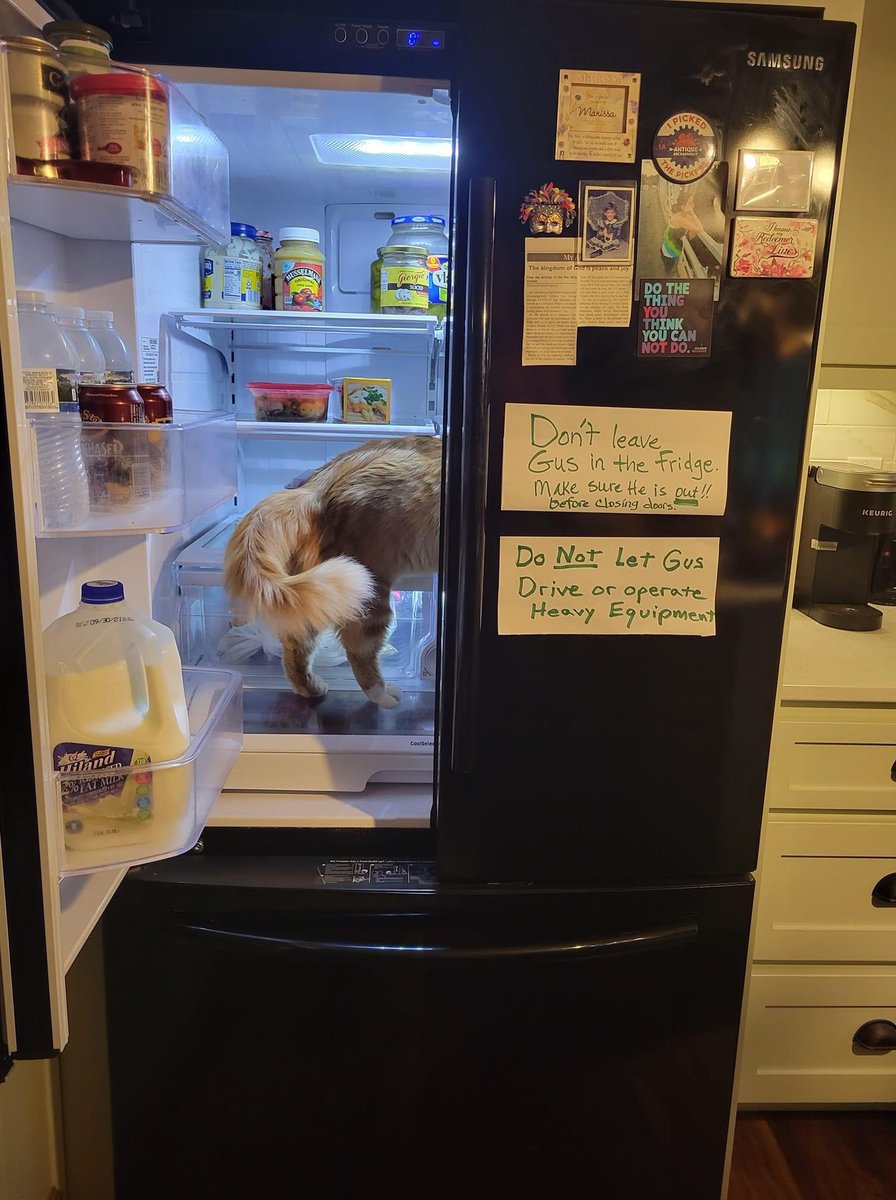 theisabo's tweet photo. @SquadTeamForce  Are these signs also on the fridge of the new temp office to make sure @sorola isn't accidentally left in the fridge? https://t.co/5faPhbXho2