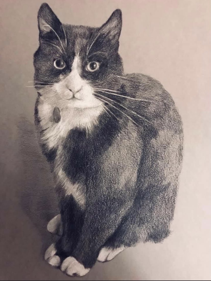 David Rankin tweet media