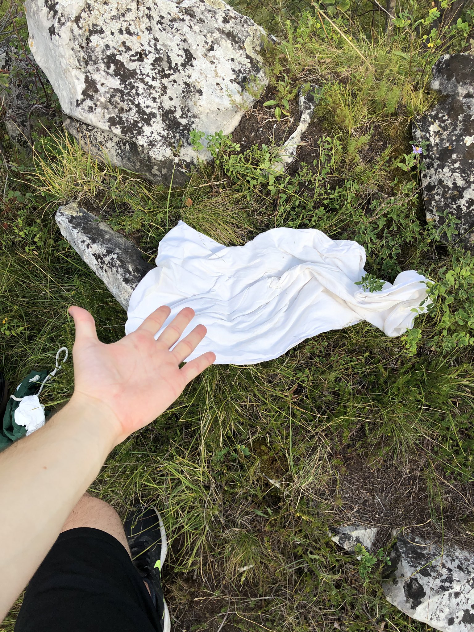 Spoiler of the new location… ? #pornhub https://t.co/tHDT4BCYri
