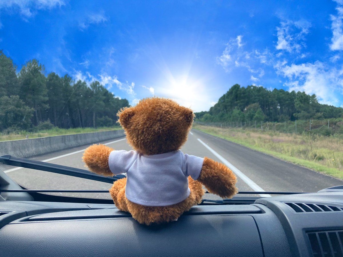 janaways's tweet photo. #thebaileybear is heading to #Spain in his @BaileyofBristol #Autogragh
Something tells me he loves chasing the sunshine ☀️ #gobailey https://t.co/MJmc8vm3hd