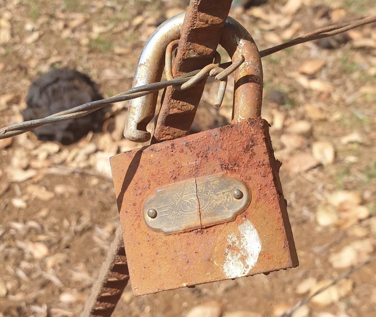 Lifes_Lense's tweet photo. Forgotten lock
Been hanging there for ages

#aboutsuuz #cute #love #me #art #rusted #lock #f4follow #beauty #colour #perfect #beautiful #memories #photooftheday #igers #old #f4f
#twittercommunity #tweegram #twitterers https://t.co/rYOISyCY1S