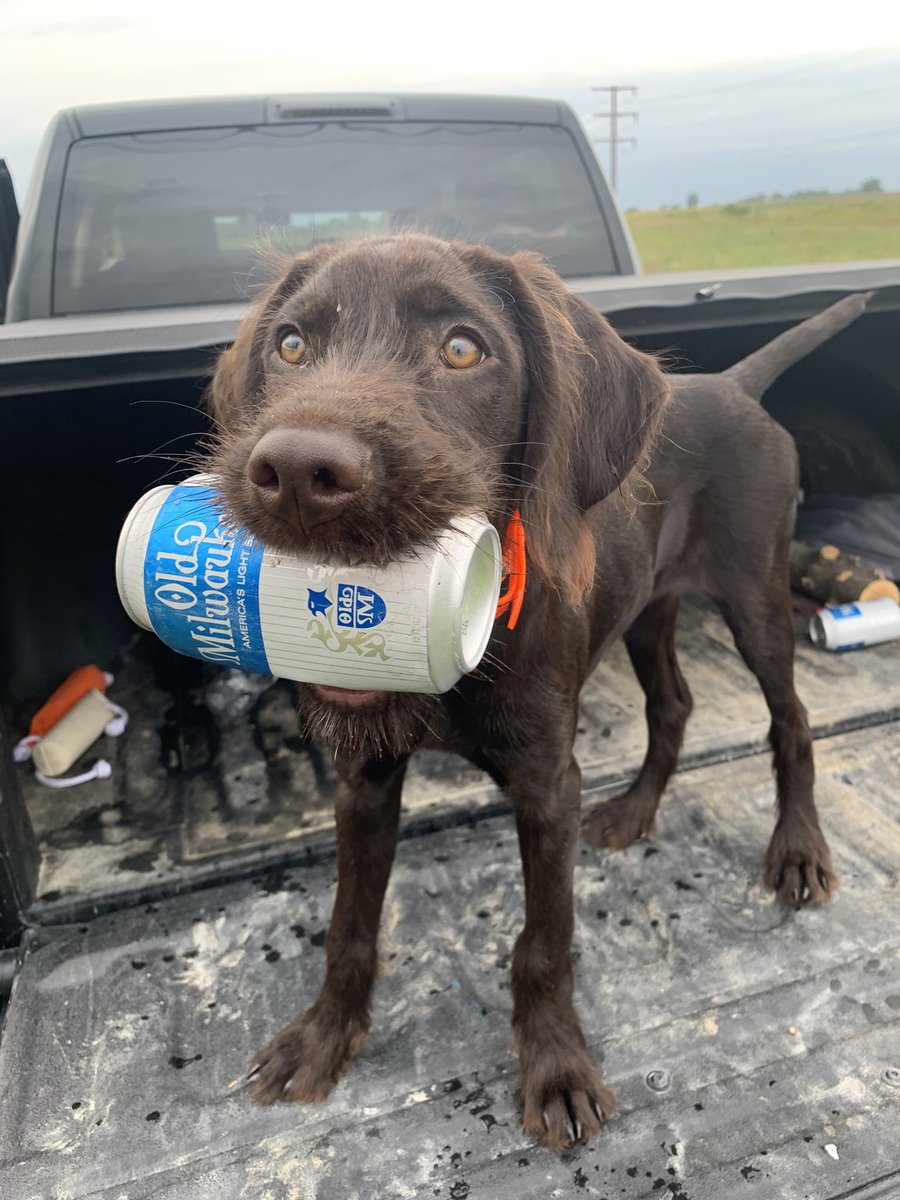 The self-appointed unofficial face of <a href="/oldmilwaukee/">Old Milwaukee</a>. Nothing like a cold one after a long day in the field, just ask Stella.