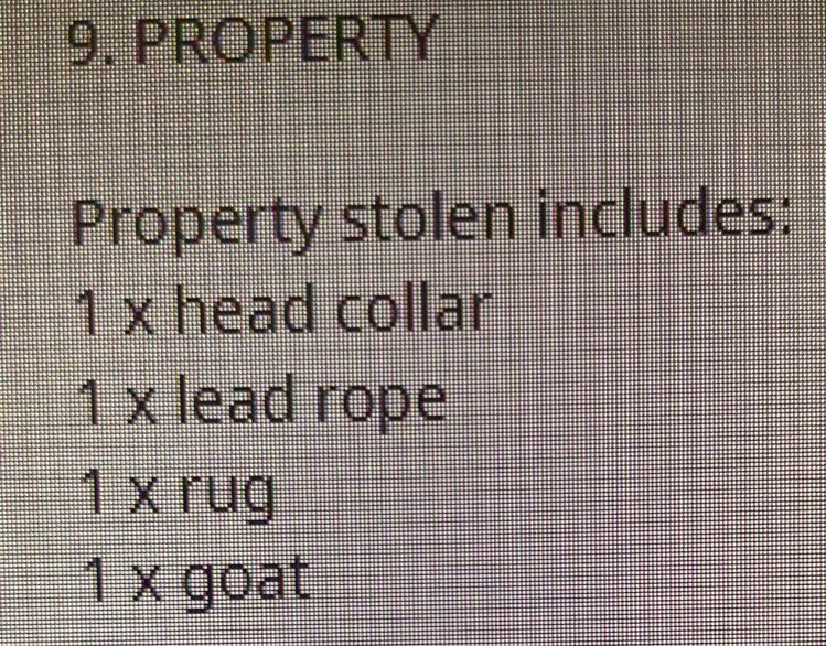 probiepc's tweet image. Stolen goat… I have no words