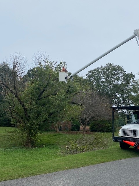 BranchOutATL's tweet photo. Removing some deadwood in a tree on our property today with the bucket truck https://t.co/0vCk6Vy4fz