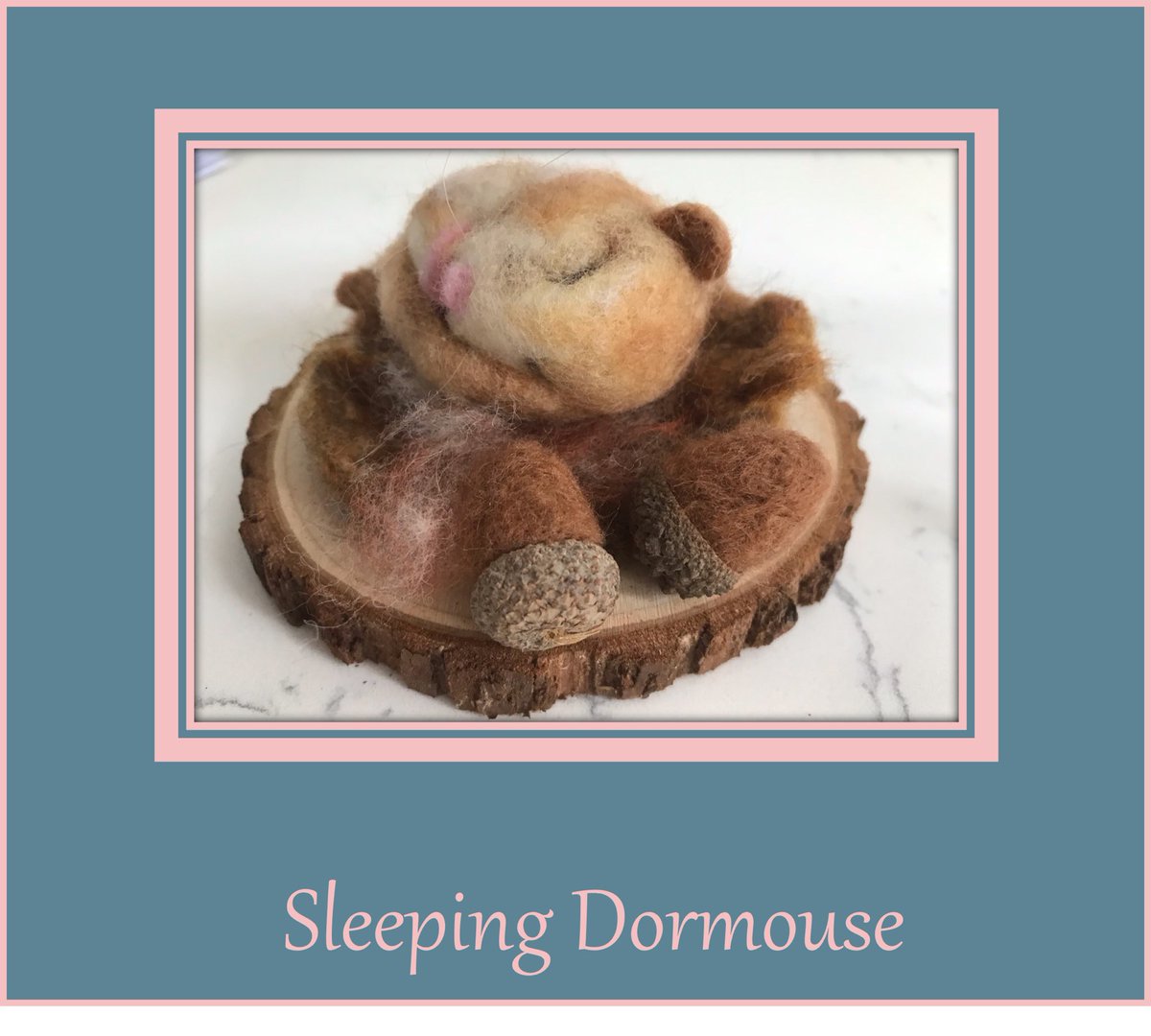 SJsFluffnStuff's tweet photo. Autumn is here and this dormouse is already getting sleepy. https://t.co/PbrQ5Nlteq