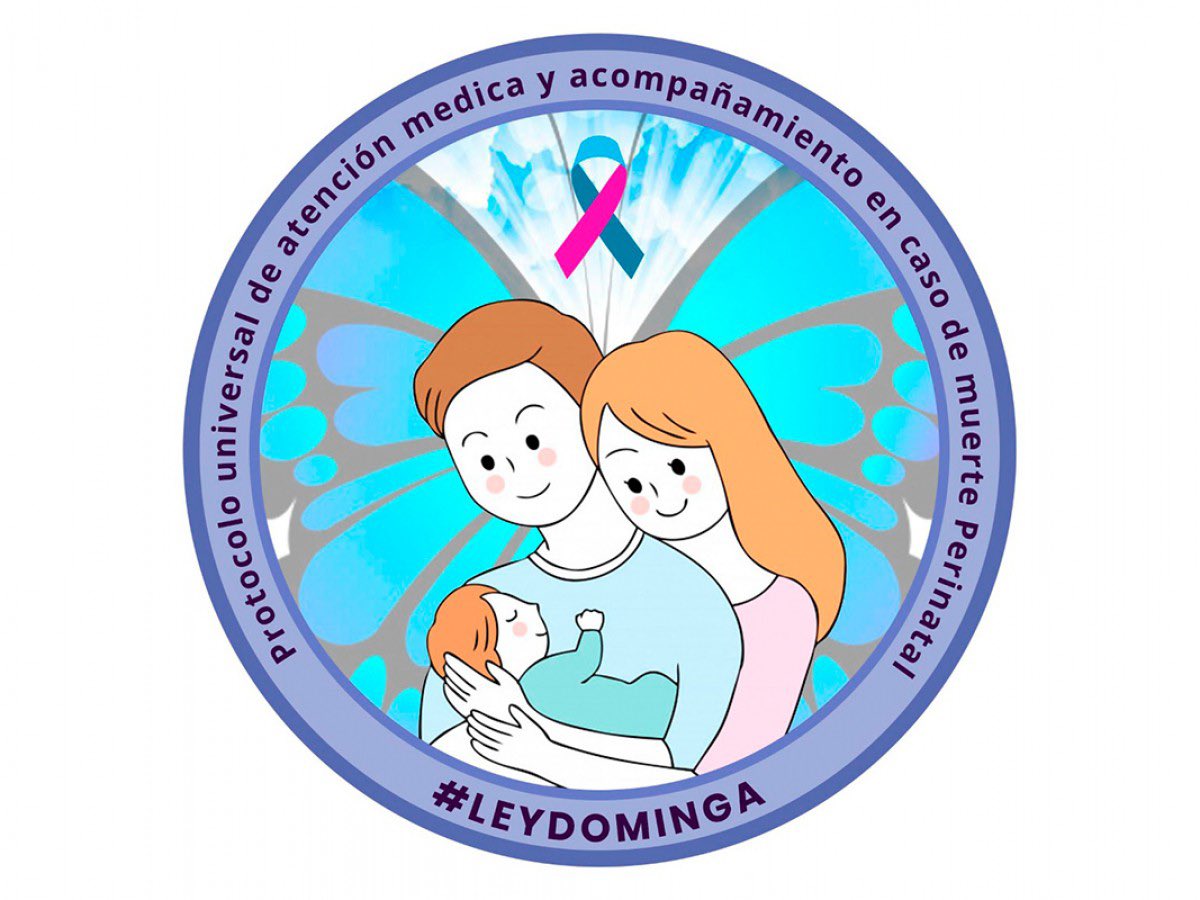 ¡HOY ES LEY!Aplaudimos la promulgación de la #LeyDominga y esperamos que el nuevo protocolo universal de apoyo, se implementen rápidamente. Es tan necesario que como sociedad humanicemos el proceso de duelo y acompañemos siempre el profundo dolor que causa la muerte de un hijo/a