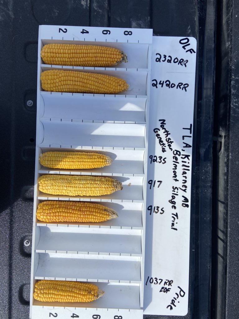 Shane Terry tweet media