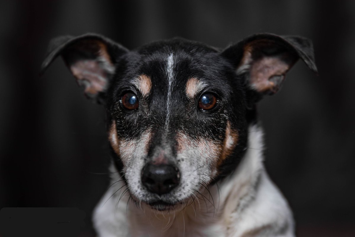 Thomas Casey tweet media