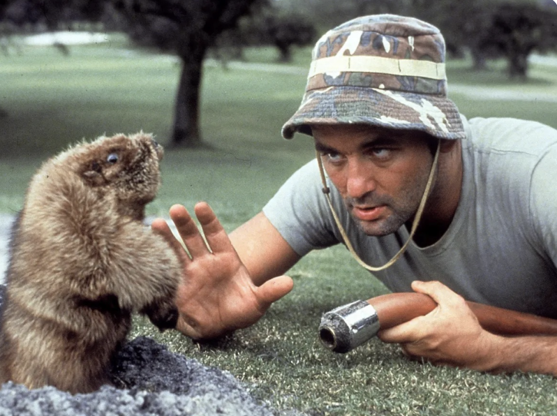 The one and only. Happy Birthday Bill Murray. 