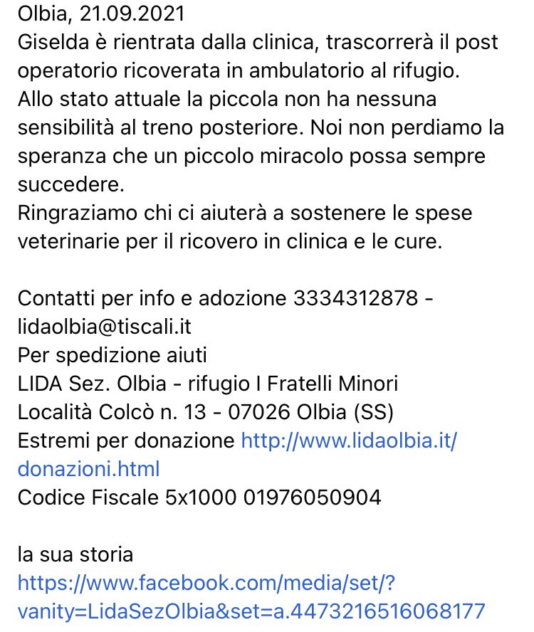 LidaSezOlbia's tweet image. #Giselda è rientrata dalla clinica, trascorrerà il #postoperatorio ricoverata in ambulatorio al rifugio. 
Allo stato attuale la piccola non ha nessuna sensibilità al treno posteriore.
Ringraziamo chi ci aiuterà a sostenere le #speseveterinarie per il ricovero in clinica e le cure