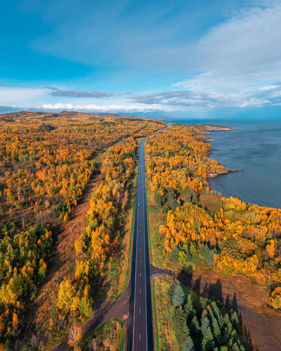 🍁Fall Color Rush🍁