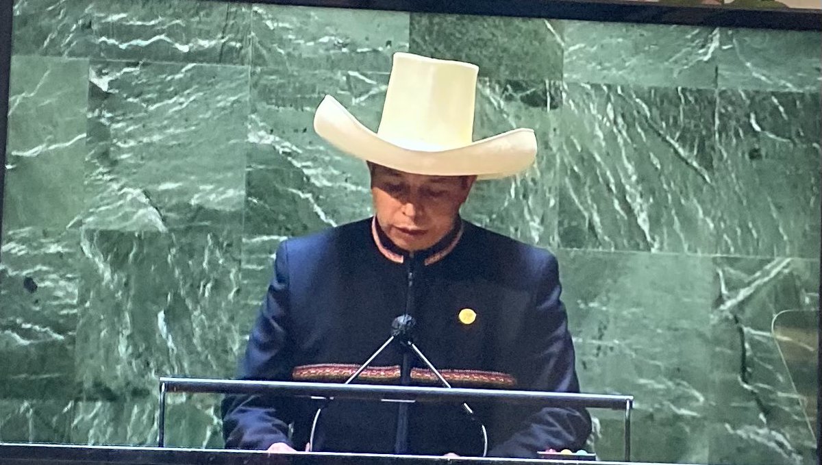 RT @anjalikdayal: Hands-down best outfit of today’s UNGA goes to Peru https://t.co/3um8IWf871