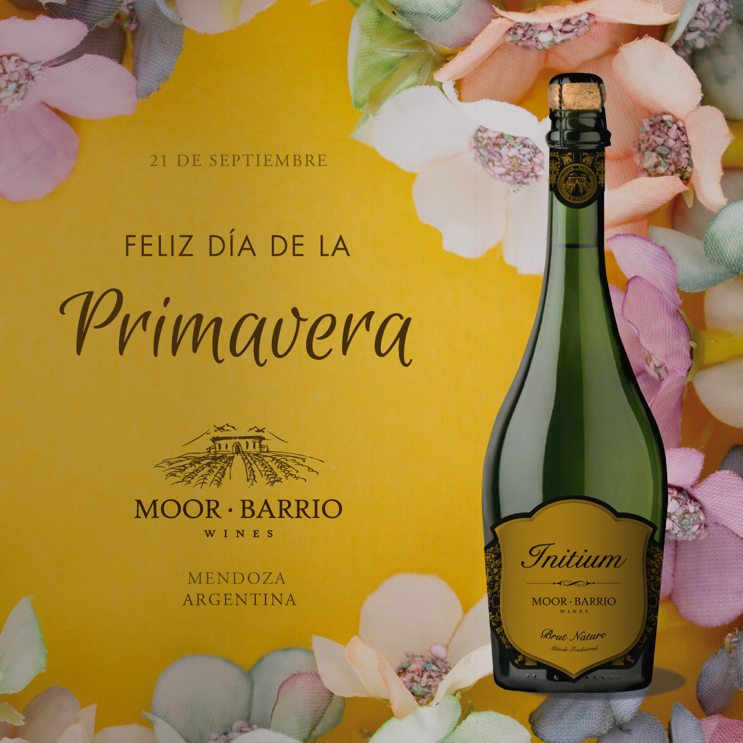 MOOR • BARRIO  Wines tweet media