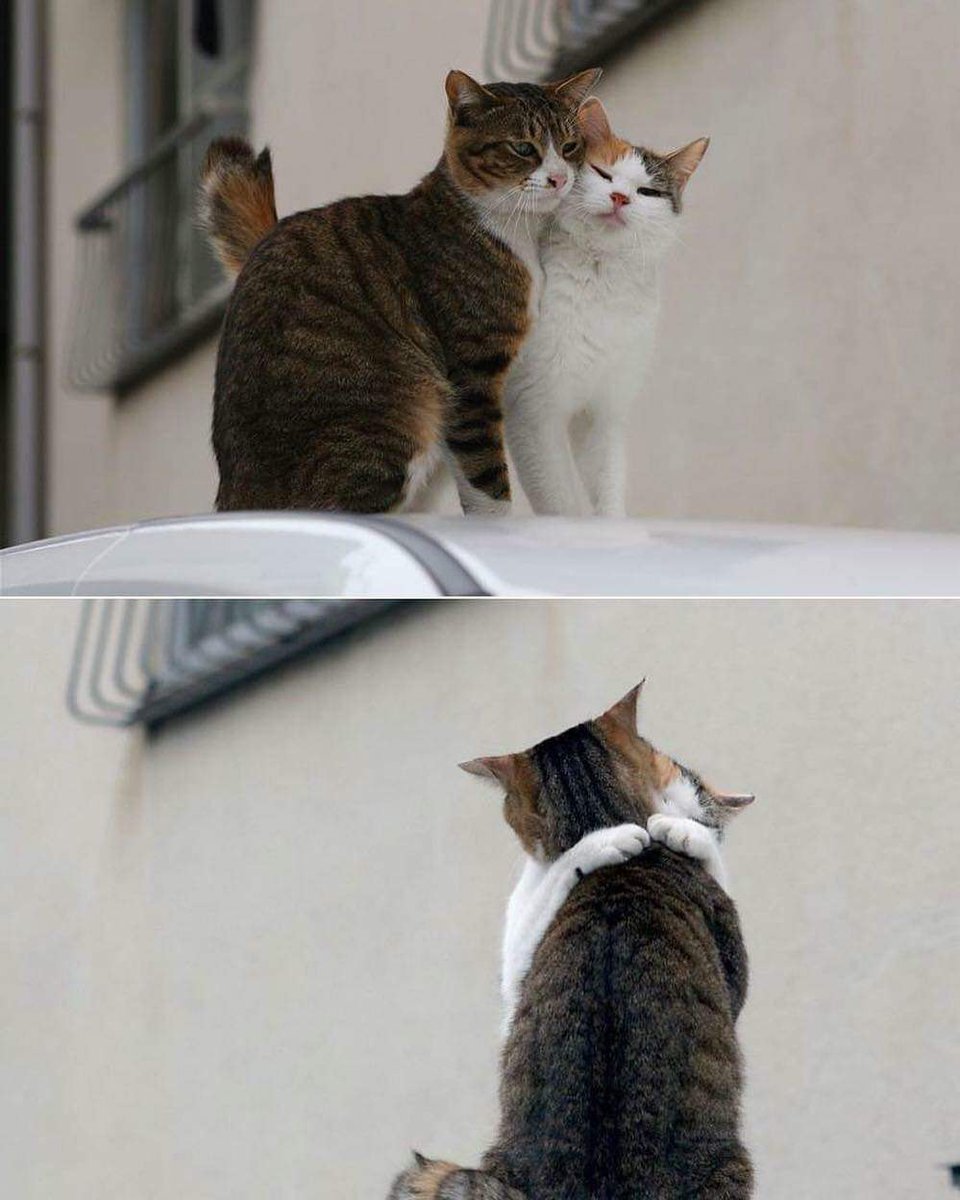 🥺🥺