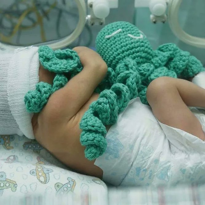Manualmente0419's tweet photo. Dona un pulpo para un bebé prematuro 💜👶🏻🧶💜🐙

https://t.co/GuKUqrvyY3

#octoproject #pulposolidarios #bebésprematuros #amigurumi #crochet https://t.co/bI1YoZ4IFO