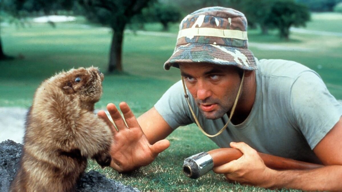 Happy 71st Birthday to Bill Murray. One of my all time favorite actors. 