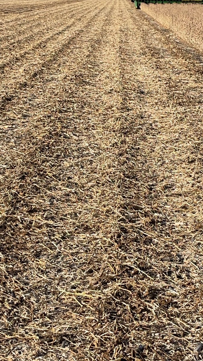 It’s just that kind of day, these beans were no tilled into last years corn stubble, this field is one of our longer term no-till fields, still not long enough but it’s a journey!! #notill #soilhealth #allaboutthewhy