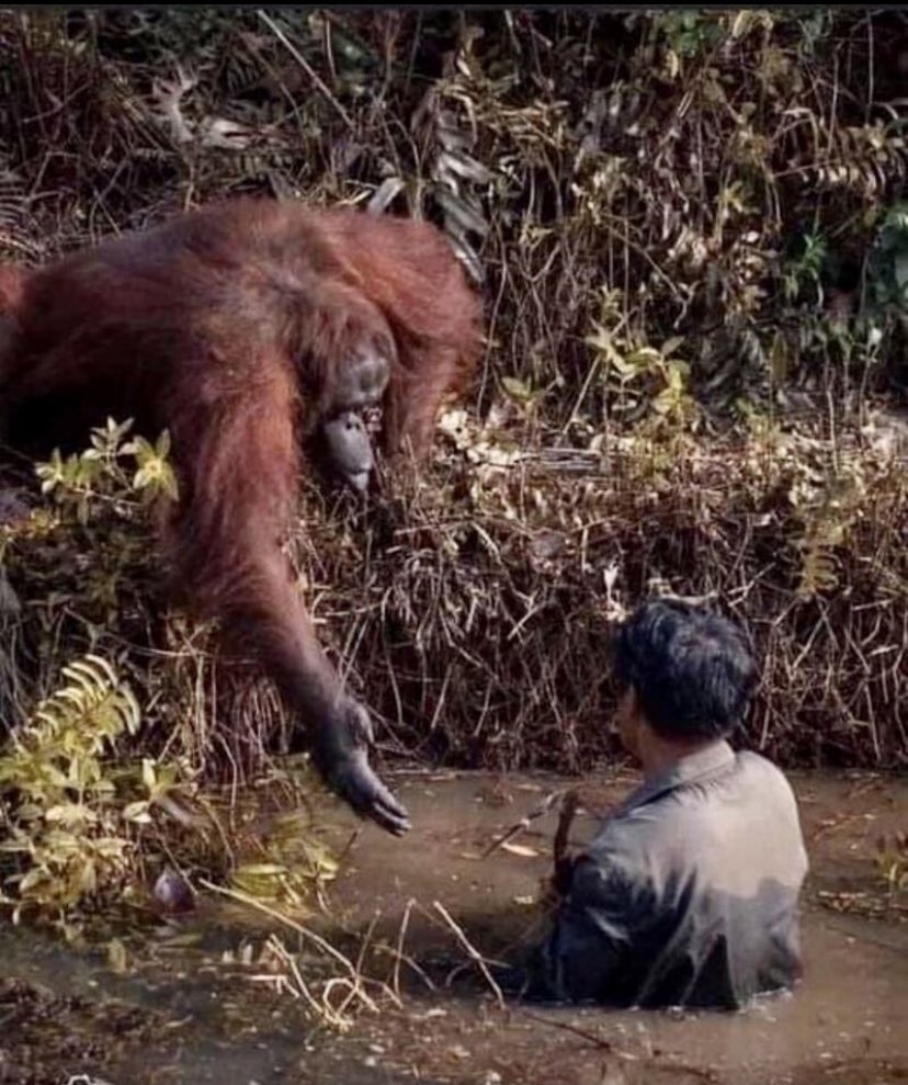 Get ekki hætt að hugsa um þessa mynd eftir Anil Prabhakar sem segir allt of margt 🙏🏻