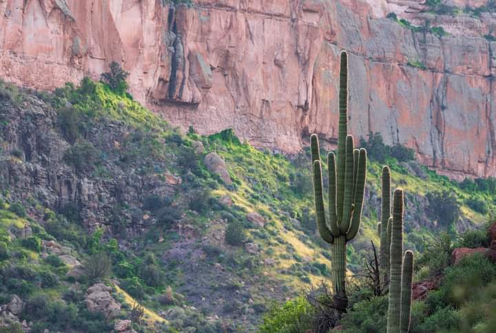 Day Trip...a little over an hour away.. Aravaipa Canyon outside San Manuel AZ 
The beauty of the Sonoran Desert Arizona 🌵
#PeacefulSpirit