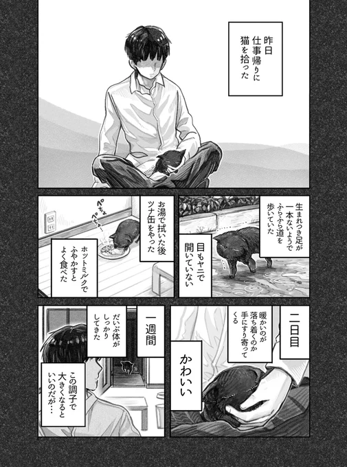 ねこを拾った話(再掲) (1/8) 