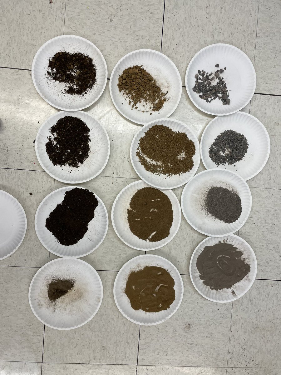 MrsPinsent's tweet photo. Today in #Science3 @Woodland_ElemNL We used different size sifters to separate our soil samples that we dug on our Dig Day @Tammy_Manor @ptoddw https://t.co/iPVxot9yU4