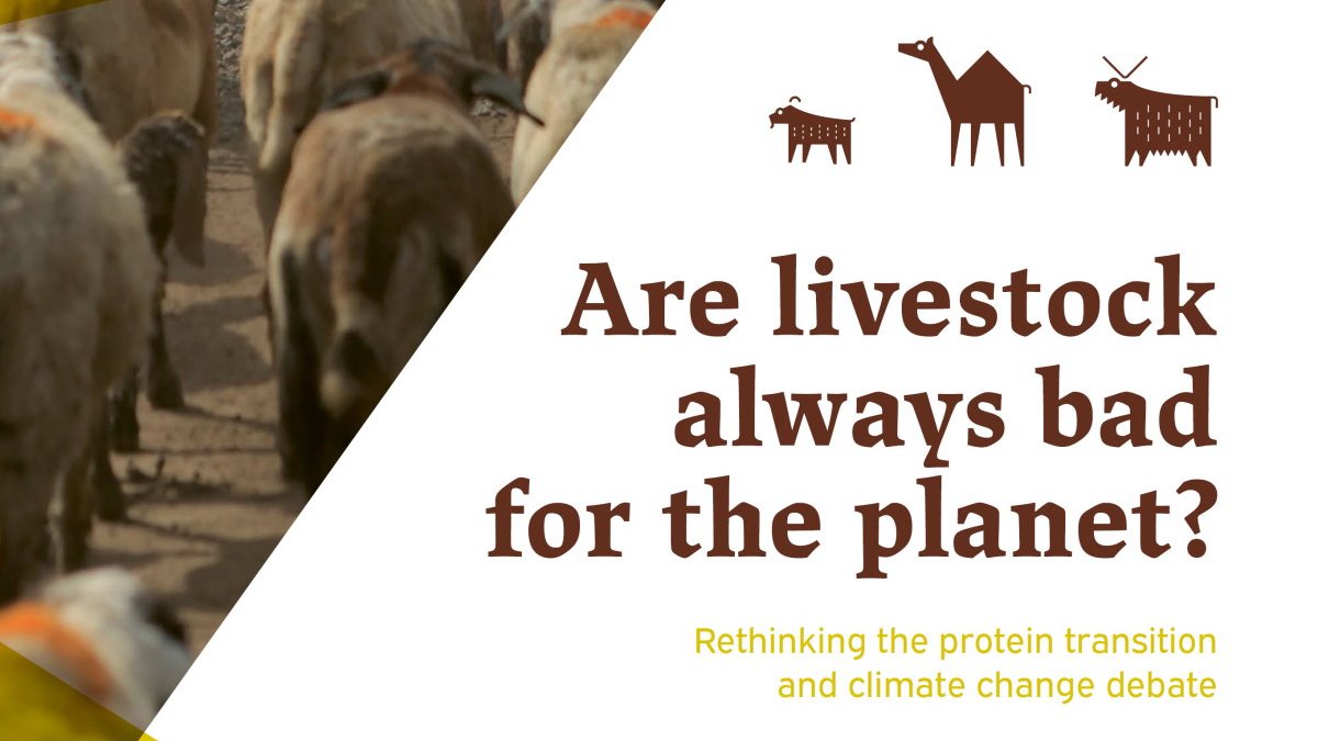 Pastoralism & Uncertainty on Twitter: Pastoralism & Uncertainty on Twitter: