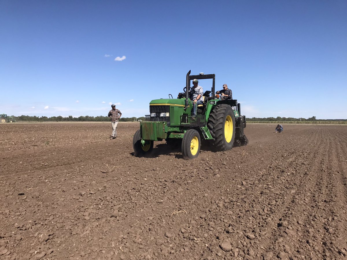 KSUWheat's tweet photo. First #wheat plots of the season are in the ground near Hutchinson! Here we are evaluating the use of varieties for dual purpose (forage yield, first hollow stem and grain yield after grazing), among other trials. Students @lpryan24 and Luiz taking the lead on the drill. https://t.co/z6B9d2ai7U