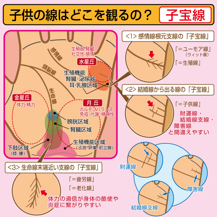 手相110番 手相の子宝線は当たるのか 妊娠 時期 性別 人数が分かる T Co Xfzwkvwlwy ウラスピナビ にて使いたくなる手相コラム執筆中 執筆記事一覧 T Co wl42obyy 手相110番 花岡正人 占い 手相 子宝線 子宝運 子供