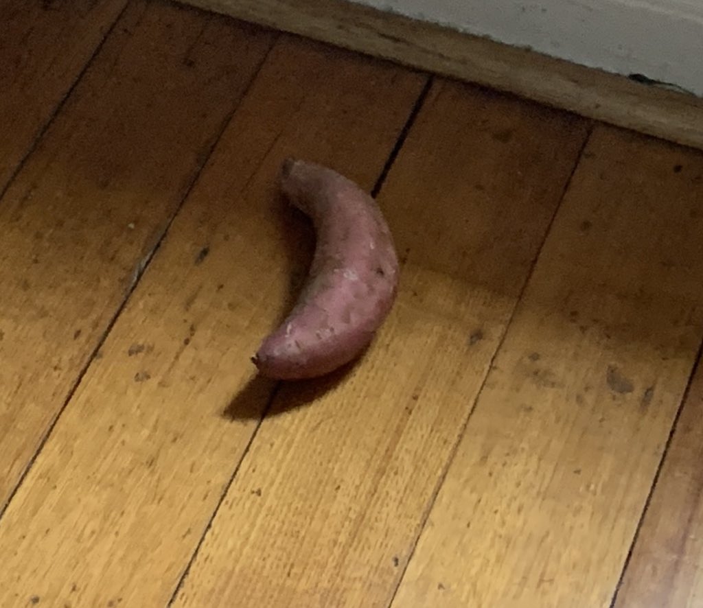 the Melbourne earthquake, 22/10/21 — we will rebuild...